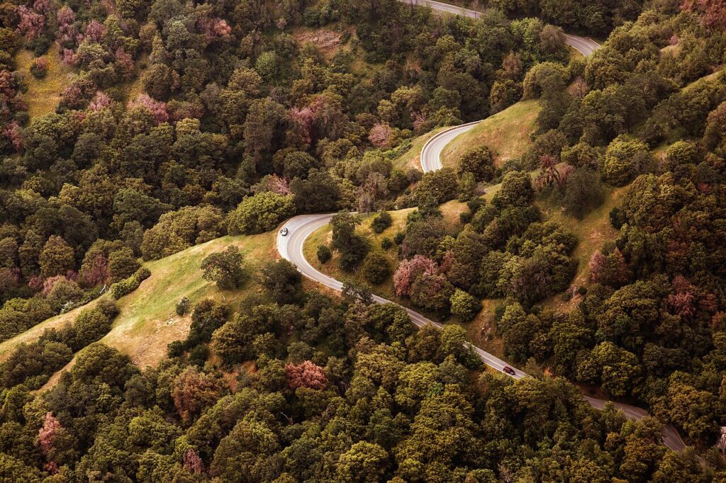 Estrada sinuosa em meio a uma floresta, vista de dentro do carro